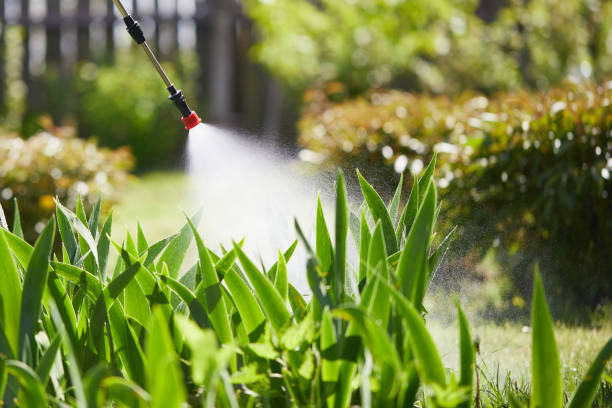 Tamper-Resistant Bait Stations for Rodents in Palatine