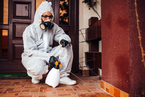 Attic and Crawl Space Rodent Treatment in Palatine