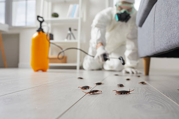 Commercial Rodent Management in Palatine